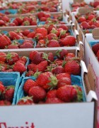 berries