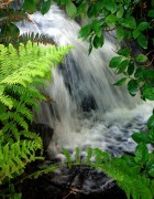 stream