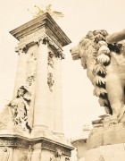 _dsc0982