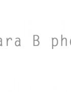 Blog Header April23 2011