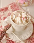 MALTED HOT CHOCOLATE MIX