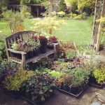 IMG_0494 IMG_0494