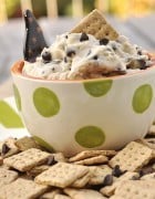 Chocolate Chip  Cookie Dip
