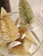 Bottle Brush Trees