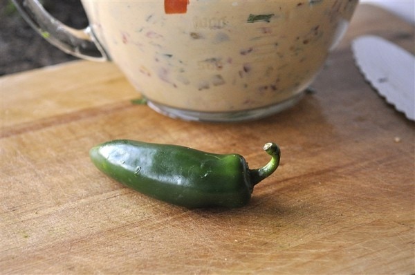Nacho Bar
