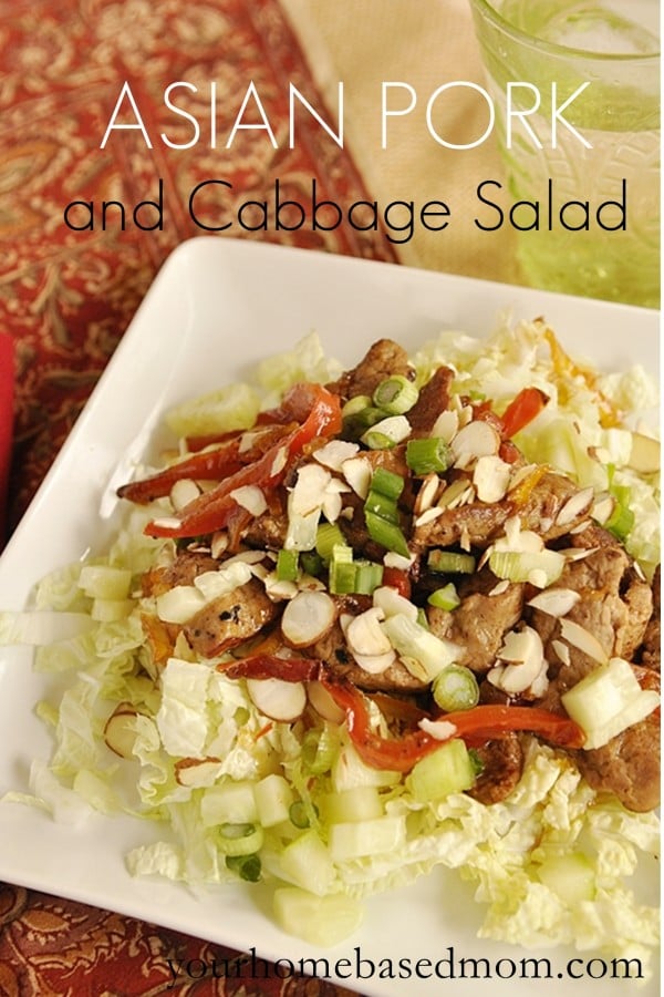 asian pork and cabbage salad