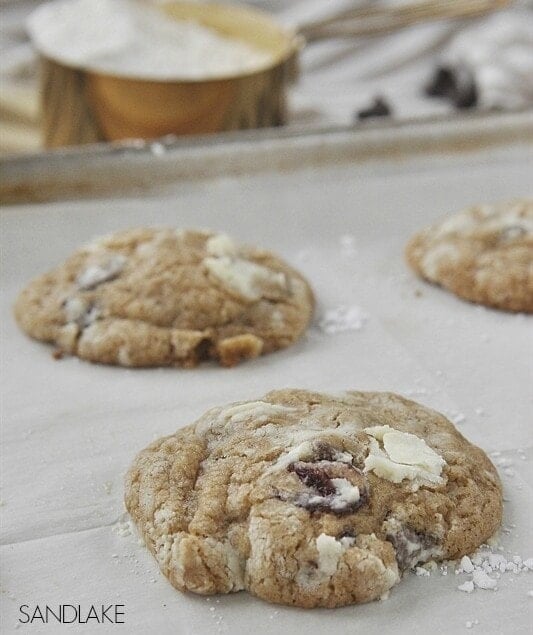 Sandlake chocolate chip cookie