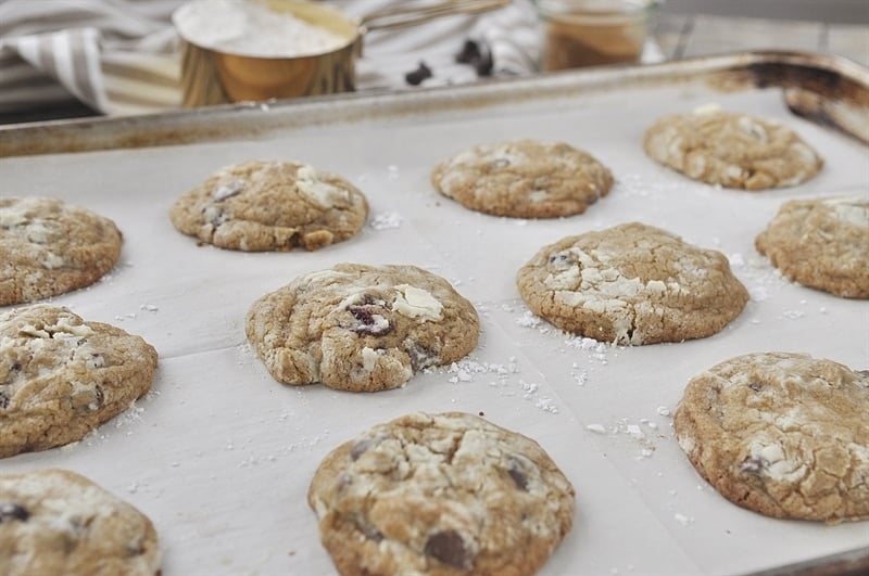 Sandlake Cookies spiced chocolate chip cookie