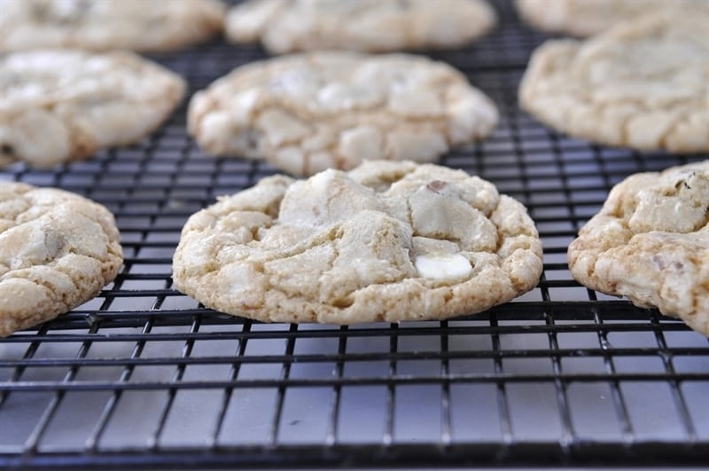 Chocolate Chip Cookies