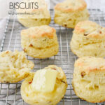 baked sour cream biscuits on a cooling rack