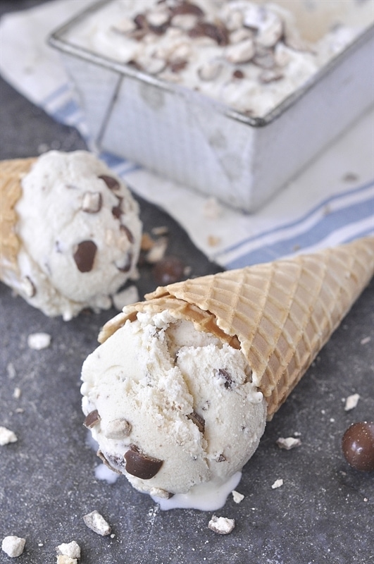 https://www.yourhomebasedmom.com/wp-content/uploads/2008/07/Malted-Milk-Ball-Ice-Cream_0005.jpg