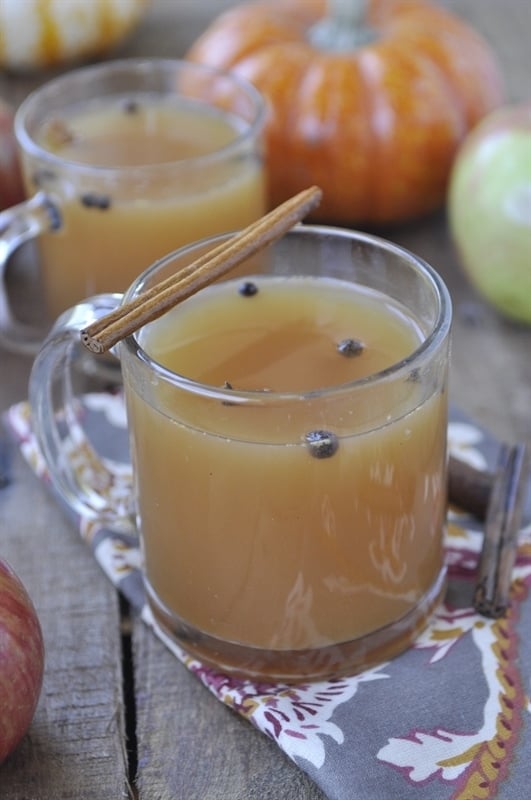 Spiced Apple Cider Recipe by Leigh Anne Wilkes