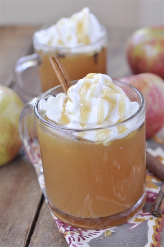 Spiced Apple Cider Recipe | by Leigh Anne Wilkes