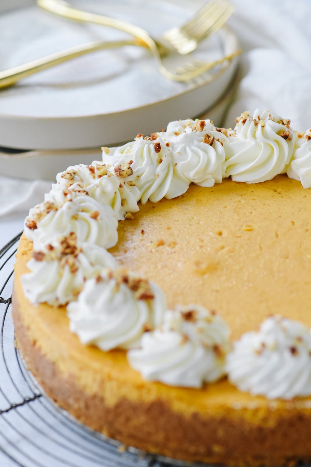 pumpkin cheesecake with whipped cream on top