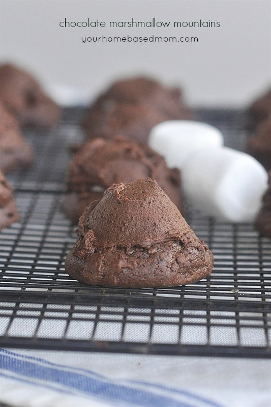 Chocolate Marshmallow Mountains