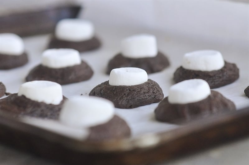 Chocolate Marshmallow Mountains