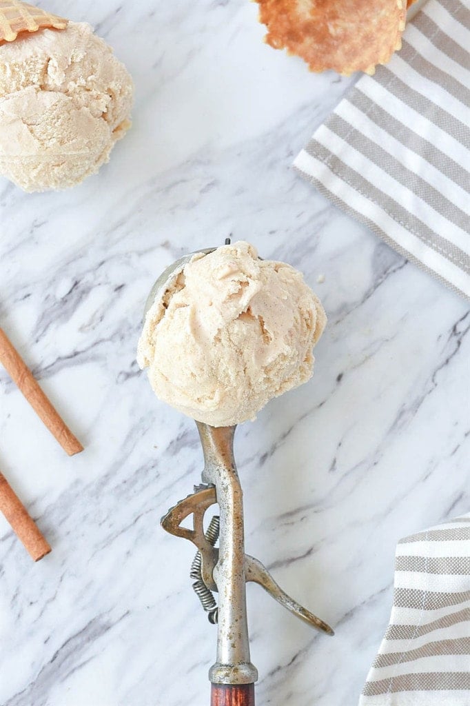 a scoop of cinnamon ice cream