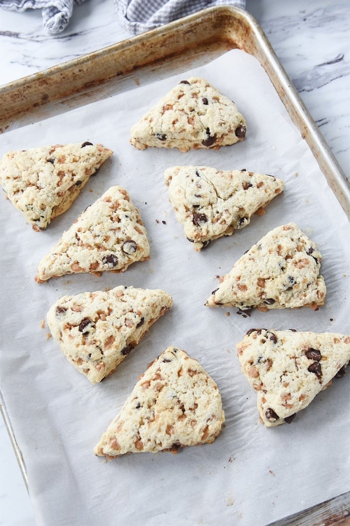 CHocolate Chip and Toffee Cream Scones