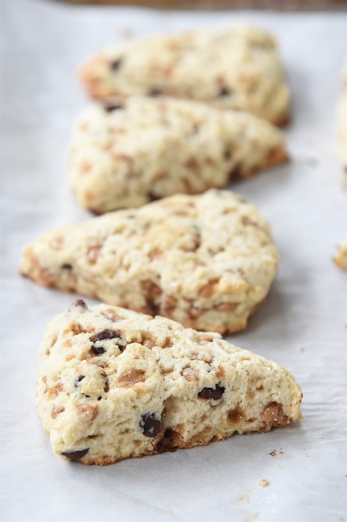 CHocolate Chip and Toffee Cream Scones