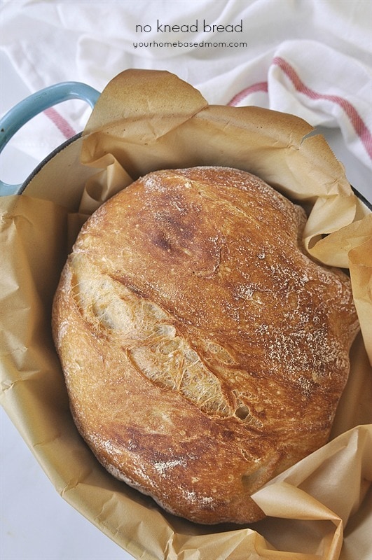 No Knead Bread artisan bread loaf in a cast iron skillet