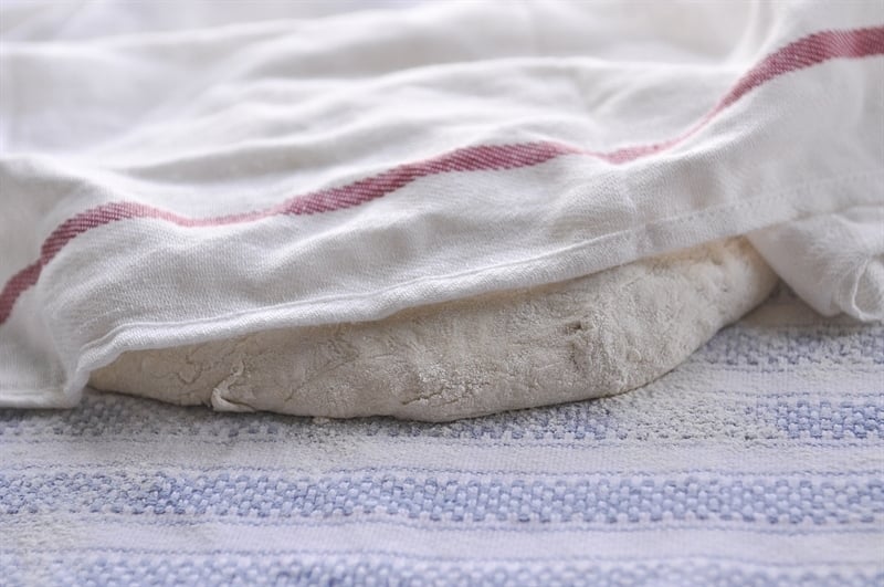 artisan bread dough covered with white cloth