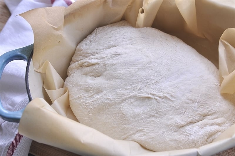 bread dough rising in cast iron skillet