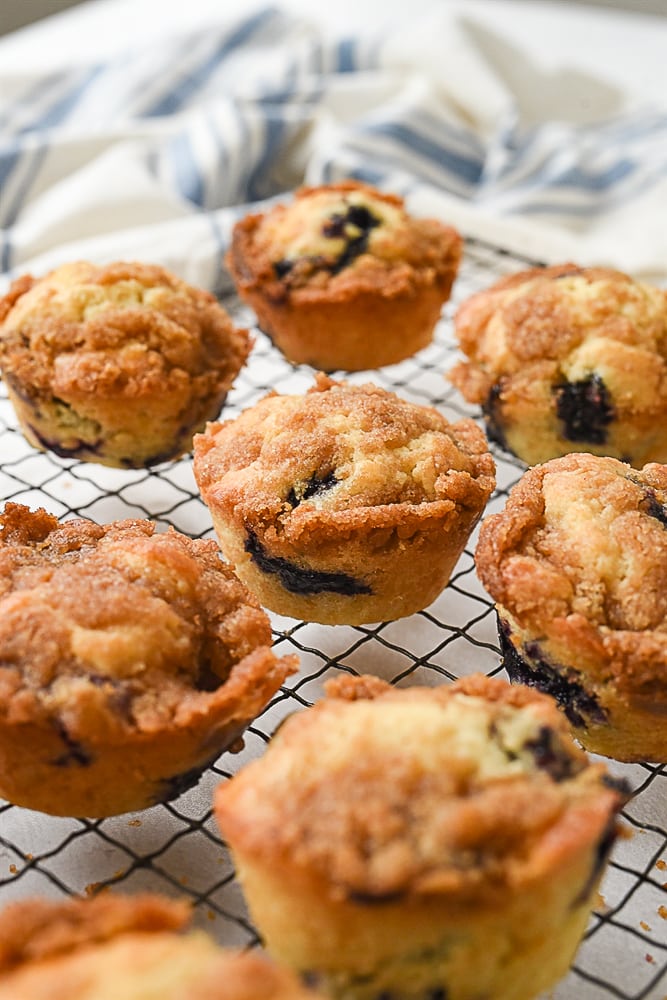 homemade blueberry muffins blueberry muffins on a cooling rack