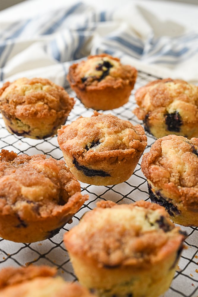 blueberry muffins on a cooling rack