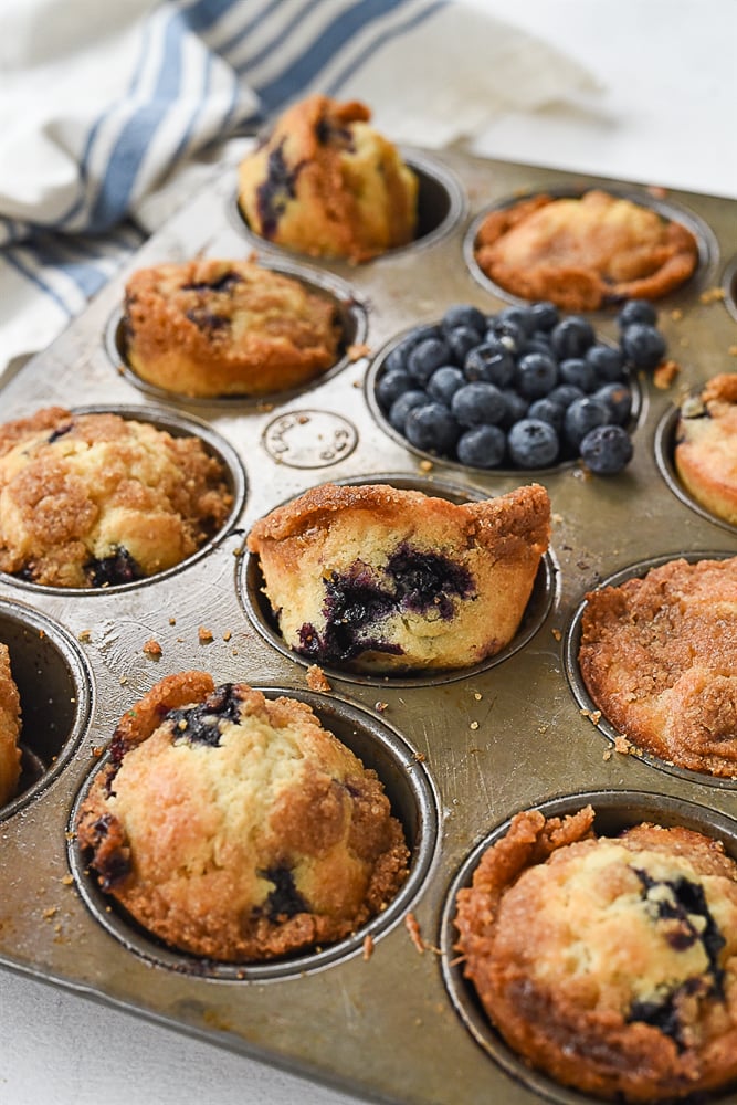 blueberry muffins in a muffin tin