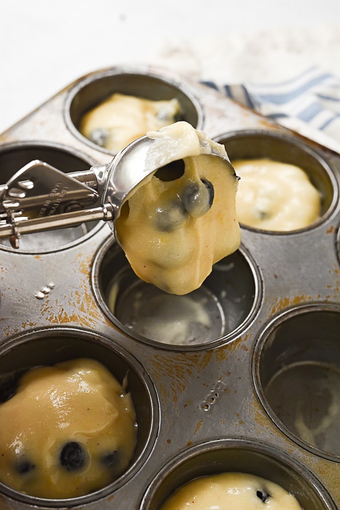 blueberry muffin scooping blueberry muffins