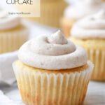 single cupcake with frosting