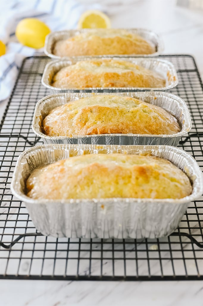 Lemon poppy seed bread in foil pans