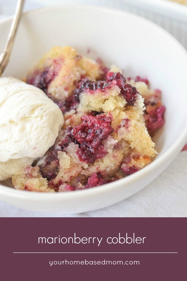 Marionberry Cobbler is one of my favorite ways to use my favorite berry. If you don't have marionberries where you live, you can use blackberries. #cobbler #berrydesserts #desserts #freshberries #marionberries #blackberries