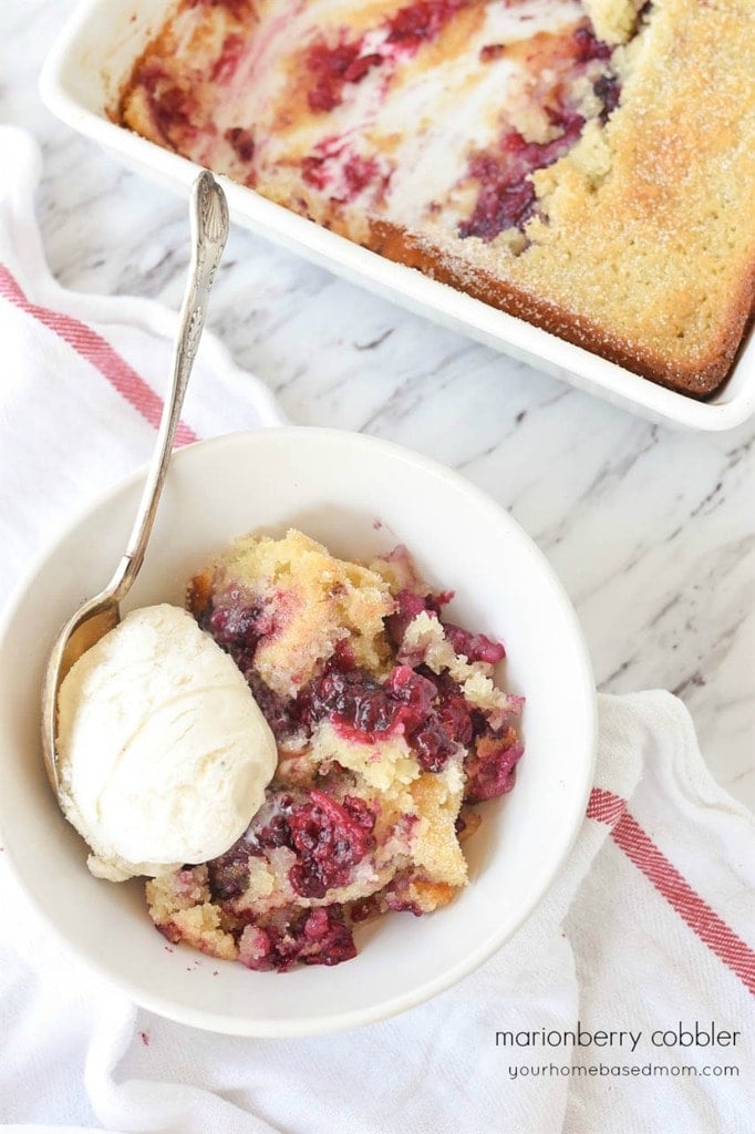 Marionberry Cobbler bowl of marionberry cobbler with vanilla ice cream