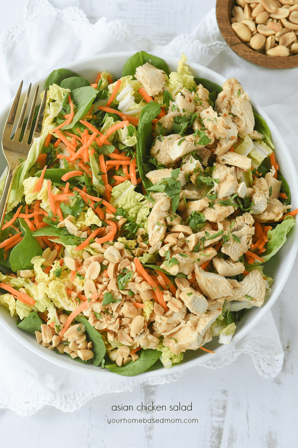 Asian chicken Salad in a bowl