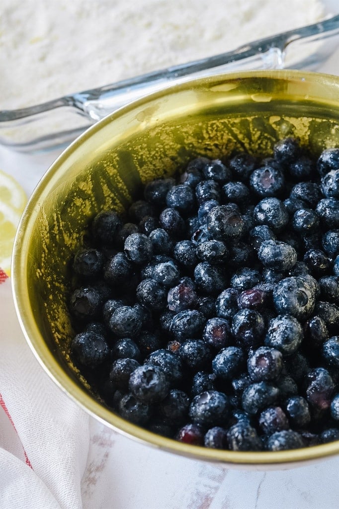 Bowl of blueberries