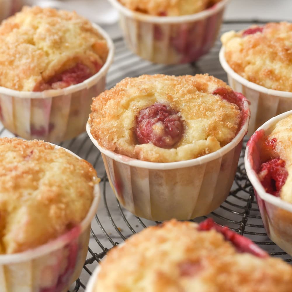 raspberry muffins in white paper liners