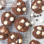 chocolate cookies on a cooling rack