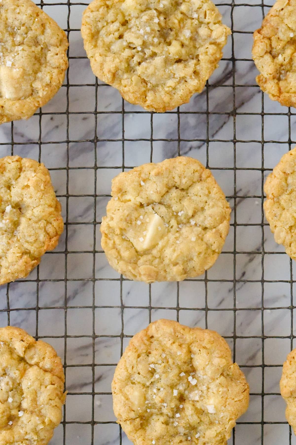 overhead shot of white chocolate chip cookies