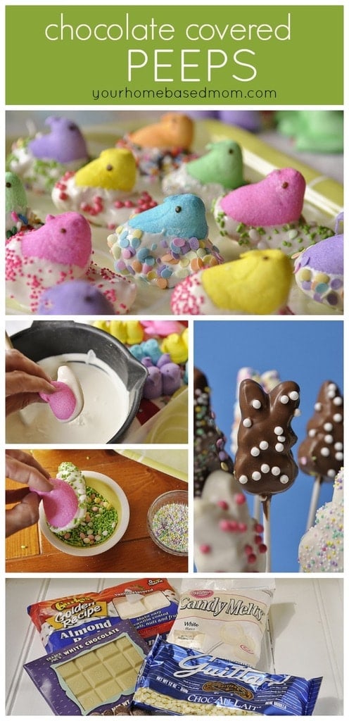 chocolate covered peeps.jpg