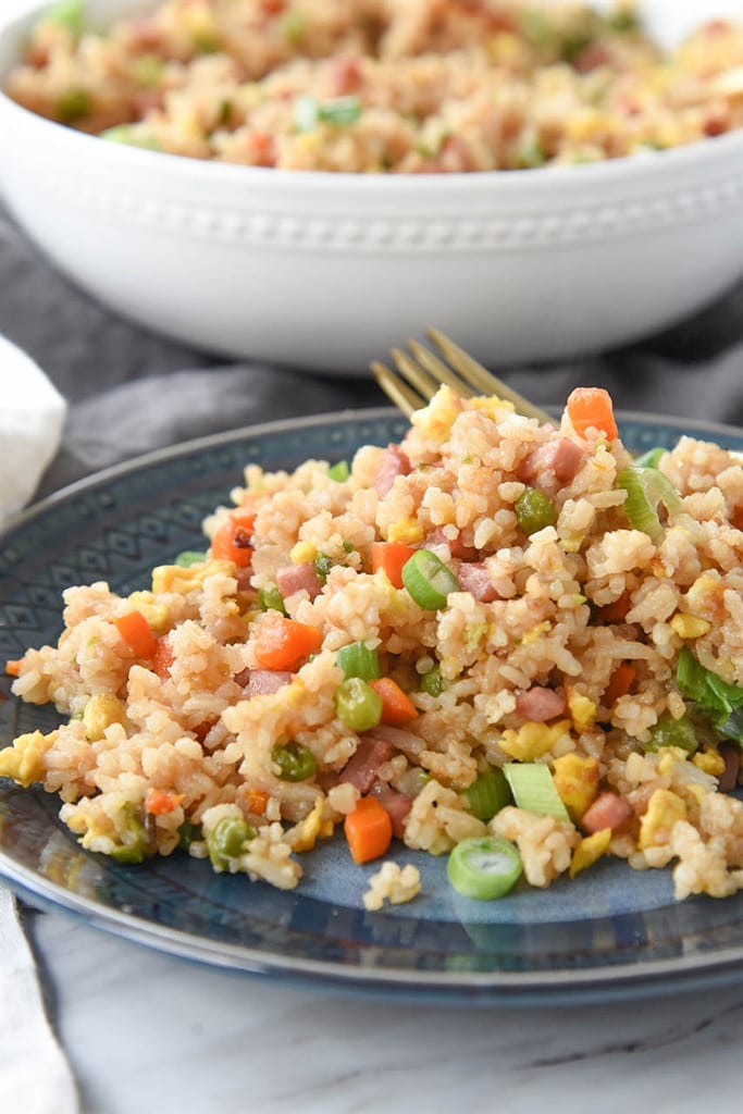 Fried Rice Thanksgiving Leftovers