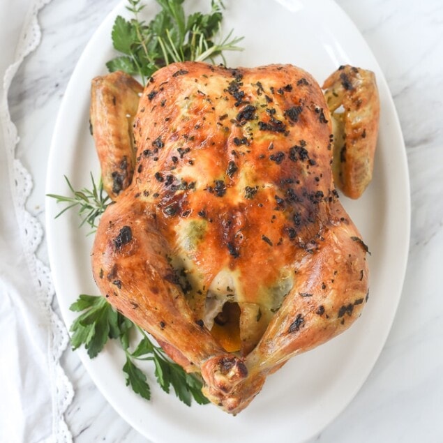 overehead shot of whole roasted chicken on a white plate