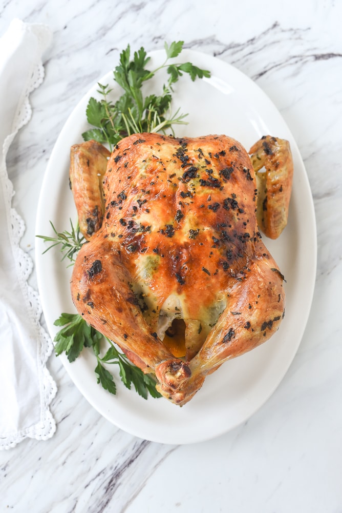 overehead shot of whole roasted chicken on a white plate