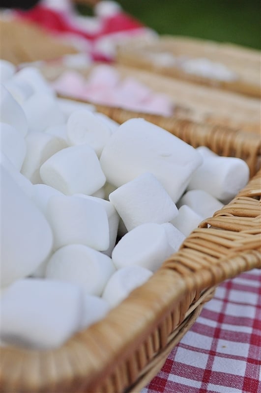 marshmallows for smores bar