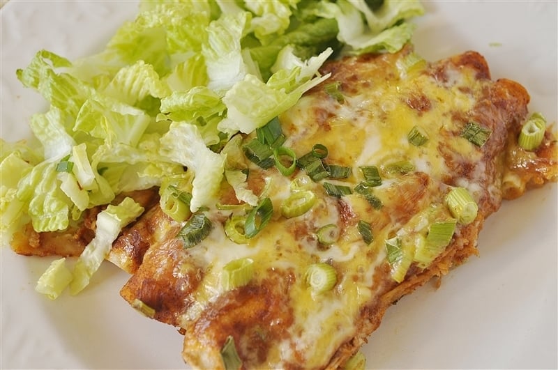 plate of chicken enchilada with homemade enchilada sauce