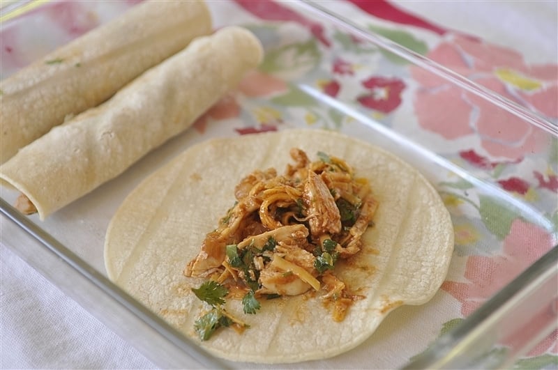chicken enchiladas chicken and enchilada sauce on a corn tortilla