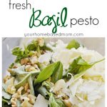 Fresh Basil Pesto