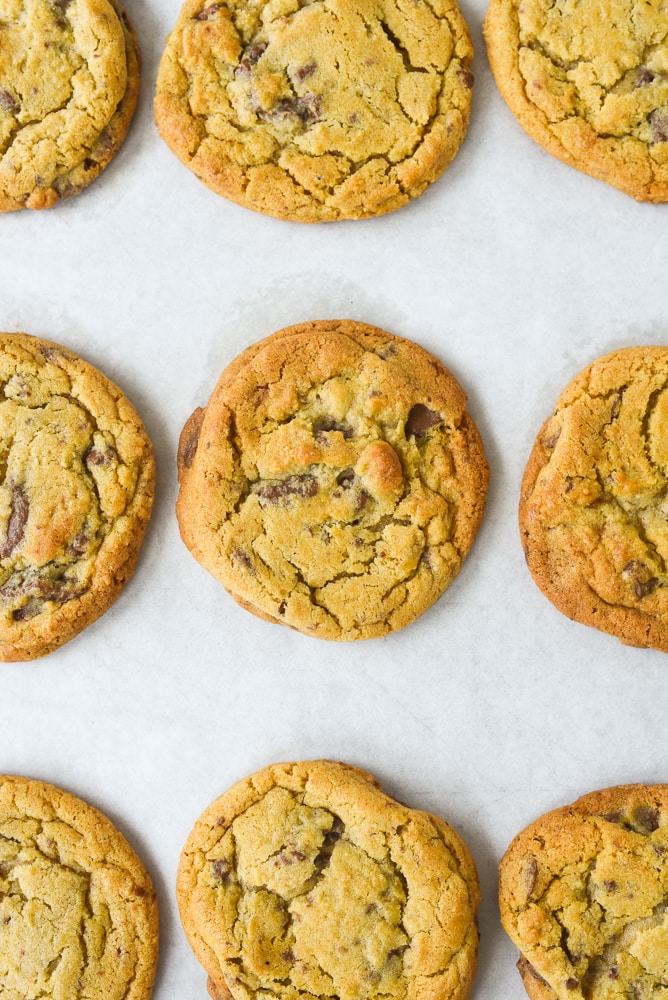 closeup of chocolate chip cookie