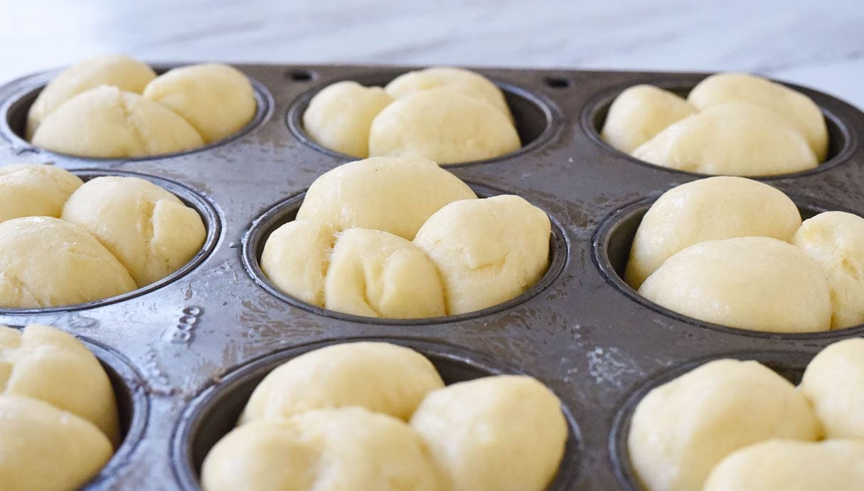rolls rising in a muffin tin