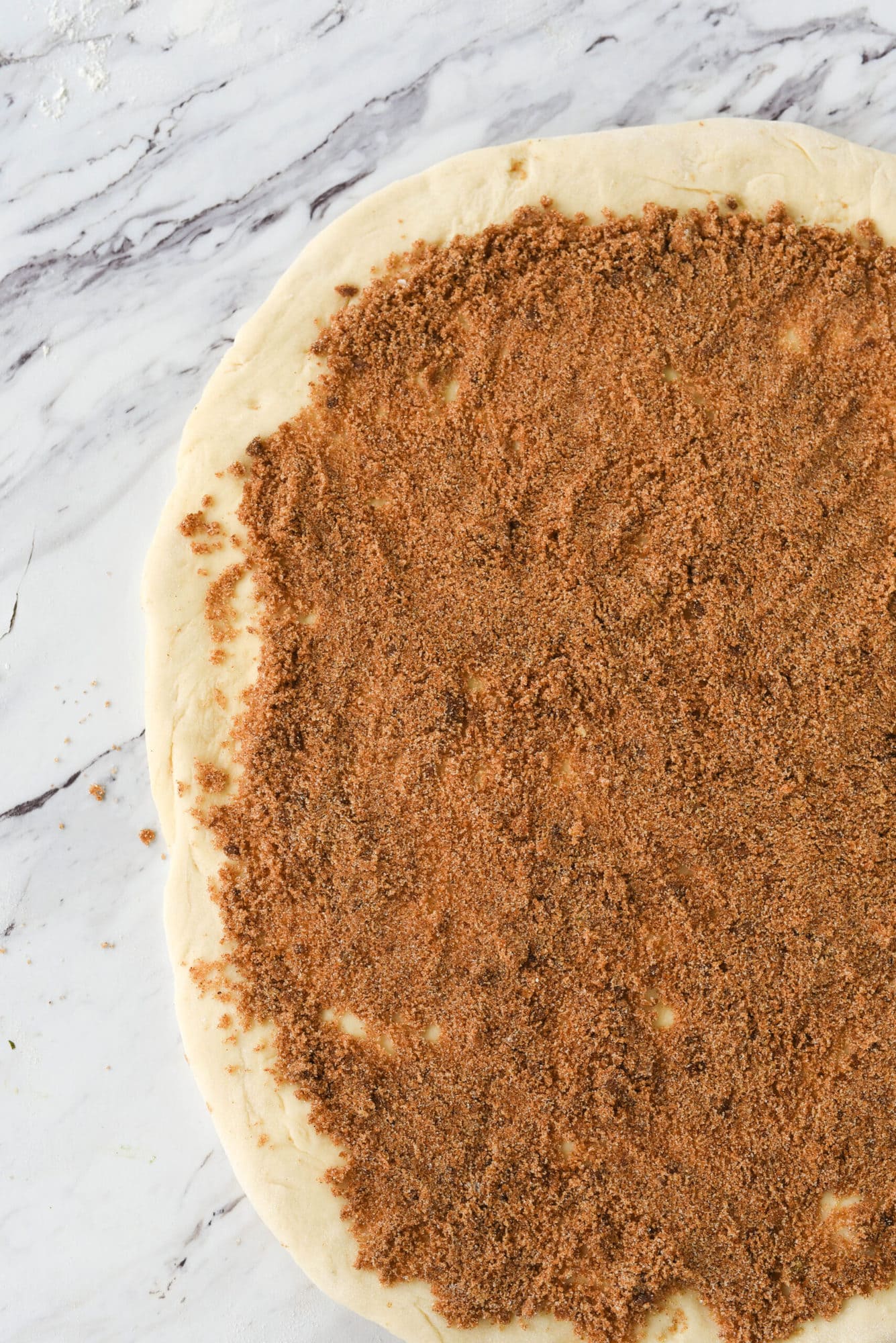 cinnamon sugar mixture on dough